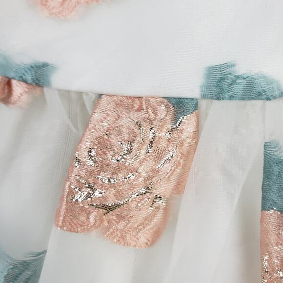 Altar'd State Size XS Floral Chiffon Puff Sleeve Mini Dress Pink Rosette Fairy - Picture 4 of 10